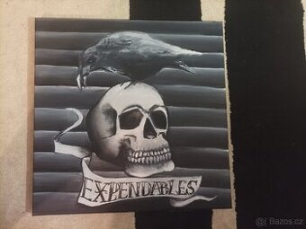 Obraz Expendables