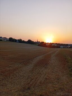 Hledáme toho pravého koňského parťáka do života