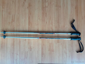 Sjezdové hole 110 cm