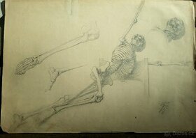Kresba kostry, František Ženíšek
