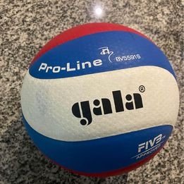 Volejbalový míč GALA