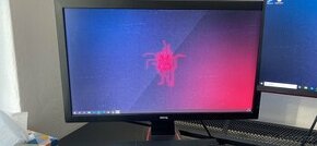 Monitor BenQ RL2455