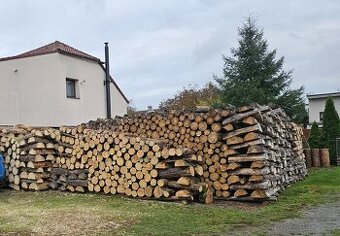 Prodám palivové dřevo