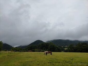 Nabízím pastevní ustájení