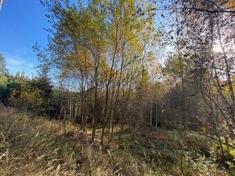 Pozemek 476m2 Klatovy - Dehtín - 1