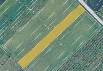 Prodej vinice v k.ú. Tuřany, ev.č. 2025-10-30-201403