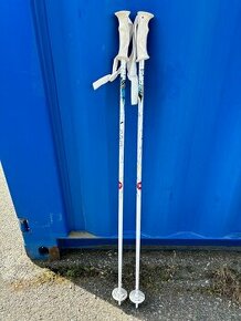 Hůlky na lyže - Rossignol - 1