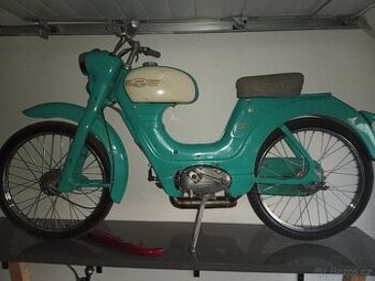Jawetta sport
