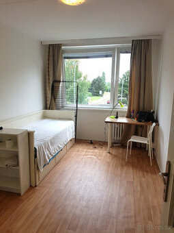 Pronájem bytu (20 m²) vedle metra Luka (5 minut pěšky). Byt