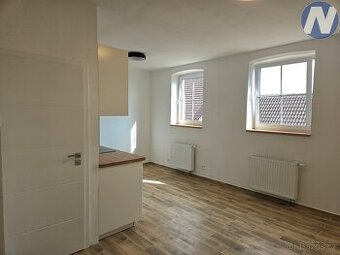 Pronájem bytu 1+kk, 29 m2, Jeronýmova, Husinec