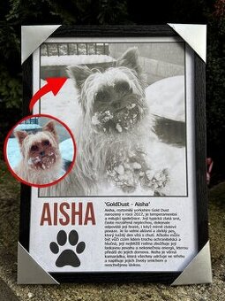 Obraz Vašeho domácího mazlíčka na přání - AKCE