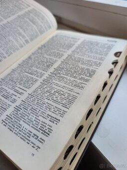 Slovník Cassell's German-English Dictionary