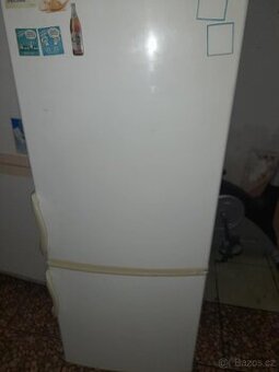 Lednice krásná funkční