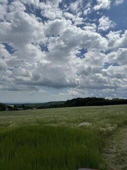 Prodej pozemku k.ú. Labutice (2)