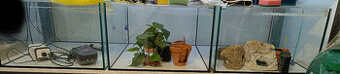Akvarium