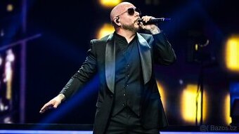 Pitbull Londýn 10.6.2025