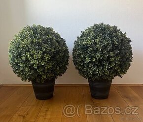 Umělý buxus