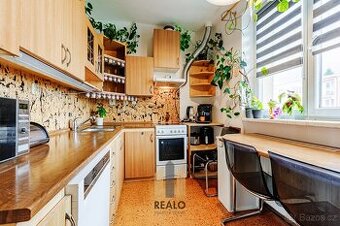 Prodej byty 3+1, 63 m2 - Ledeč nad Sázavou, ev.č. 00804