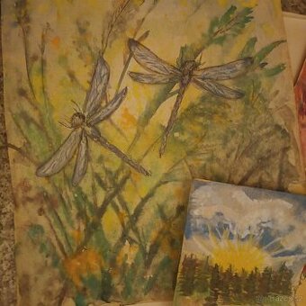 Obrázky - malba - akvarel