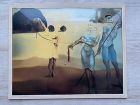 Abstraktní obraz Salvador Dali