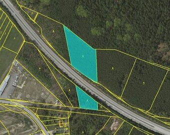 Borovicový les - Jivno (u Č.Budějovic)