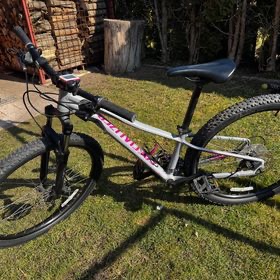 Specialized - 1
