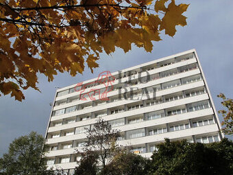 Pronájem bytu 1+kk 39m²+ 2 lodžie, sklep a komora