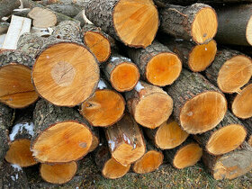 palivové dřevo - poptávka