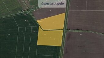 Prodej pole v k.ú. Chudíř - 1