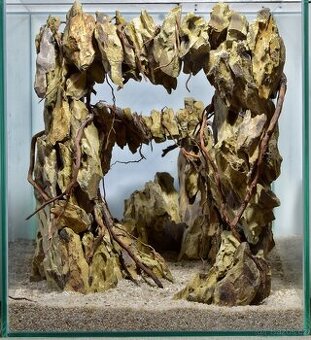 Akvárium s Dragon Stone