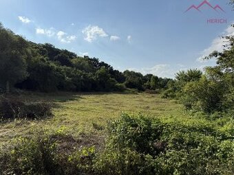 Prodej stavebního pozemku (2241 m2) Minice, okr. Louny