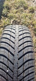 Zimní pneu 195 65 r15 nexen tire