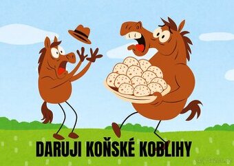 Daruji koňský hnůj
