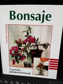 Bonsaje - 1