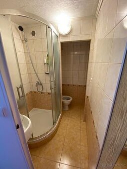 Pronájem bytu v Žatci 1+1 Mladeznicka ul,jen slušným , pracu