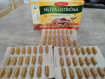 Hlíva ústřičná - 1