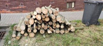 ČERSTVÉ PALIVOVÉ DŘEVO TVRDÉ-BUK-DUB