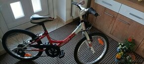 Dětské kolo DEMA "20" 105-135cm