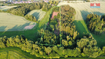 Prodej lesa, 17153 m², Božejov