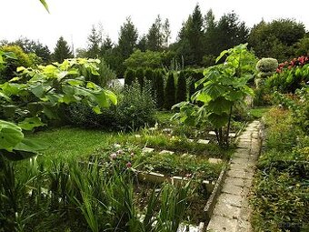 Zahrada 500m2 + chatka, pergola, skleník, voda, elektřina