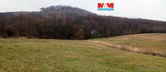 Prodej louky, 8010 m², Třebušín