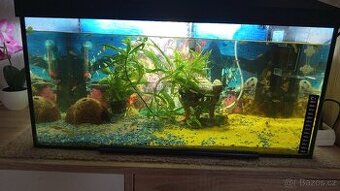 Akvarium