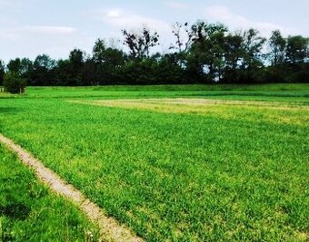 Pozemek 17.800 m2 průmysl. zóna výroba a skladování