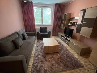 Pronájem bytu 2+1 FM