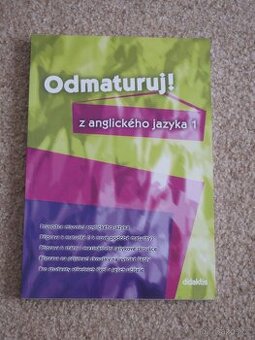 Odmaturuj z anglického jazyka 1