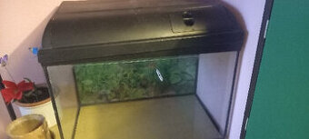 Prodám Akvarium