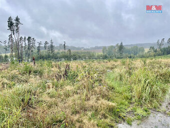 Prodej lesa, 26489 m², Častrov - 1
