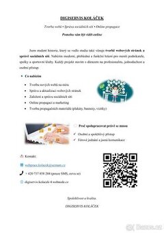 Tvorba webových stránek a správa sociálních sítí – Digiservi