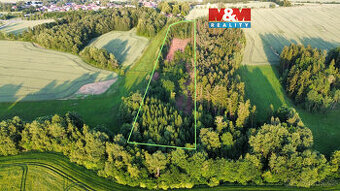 Prodej lesa, 17153 m², Božejov