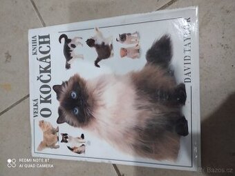 Knihy o kočkách